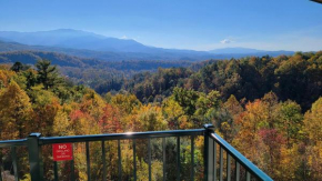 Bearly Wait Gatlinburg